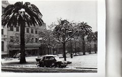 SIDI BEL ABBES 1954 SOUS LA NEIGE  (7)